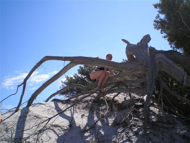 Durante la passeggiata alle dune la Coccolina trova un tronco di un albero sul quale si arrampica.